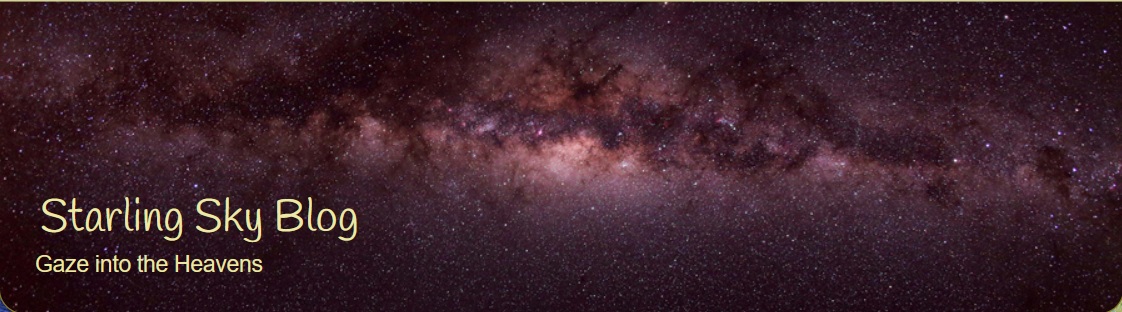 Webpage Banner